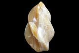Brown, Polished Calcite Flame #74636-1